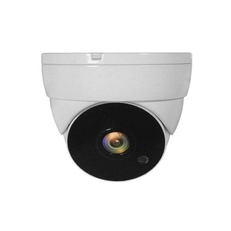 Telecamera di sorveglianza a cupola CCTV interno ed esterno soffitto - LevelOne ACS-5302