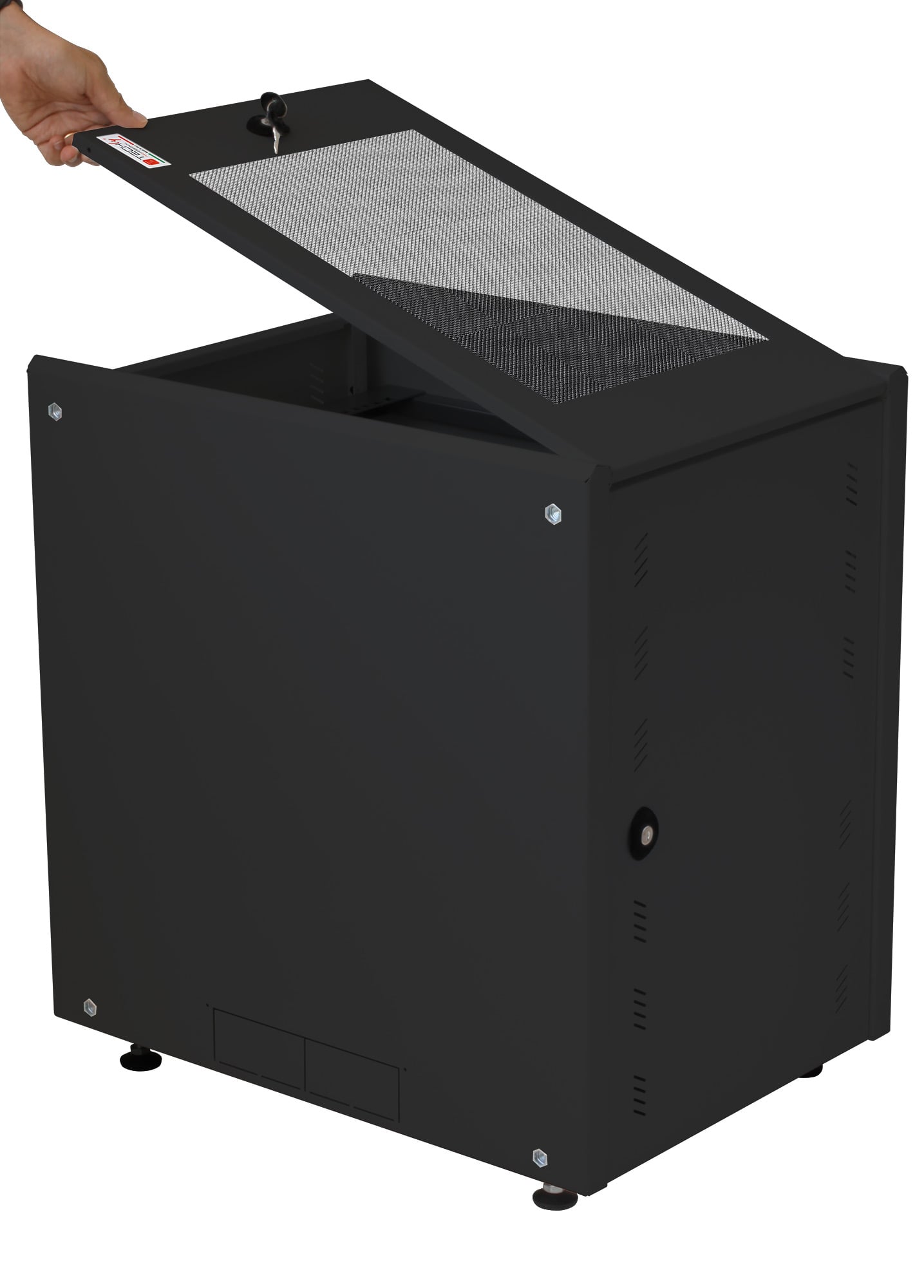 Rack Cabinet 19" 8U P600mm for Photovoltaic Battery Storage Black - Techly Professional I-CASE EE-2008BK6
