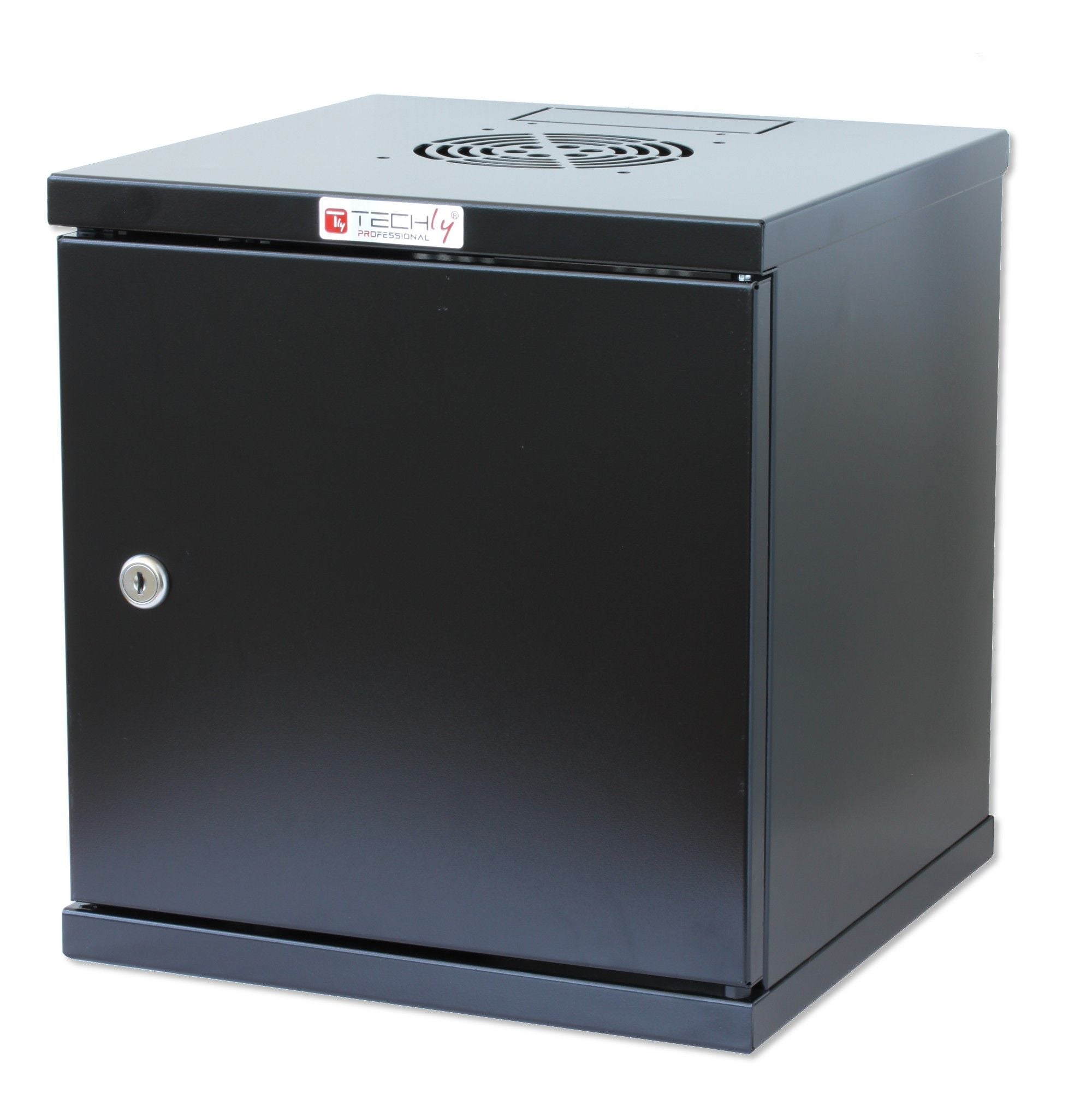 Wall Mount 10" Rack 6U Blank Door Black - Techly Professional I-CASE EM-1006BKCTY