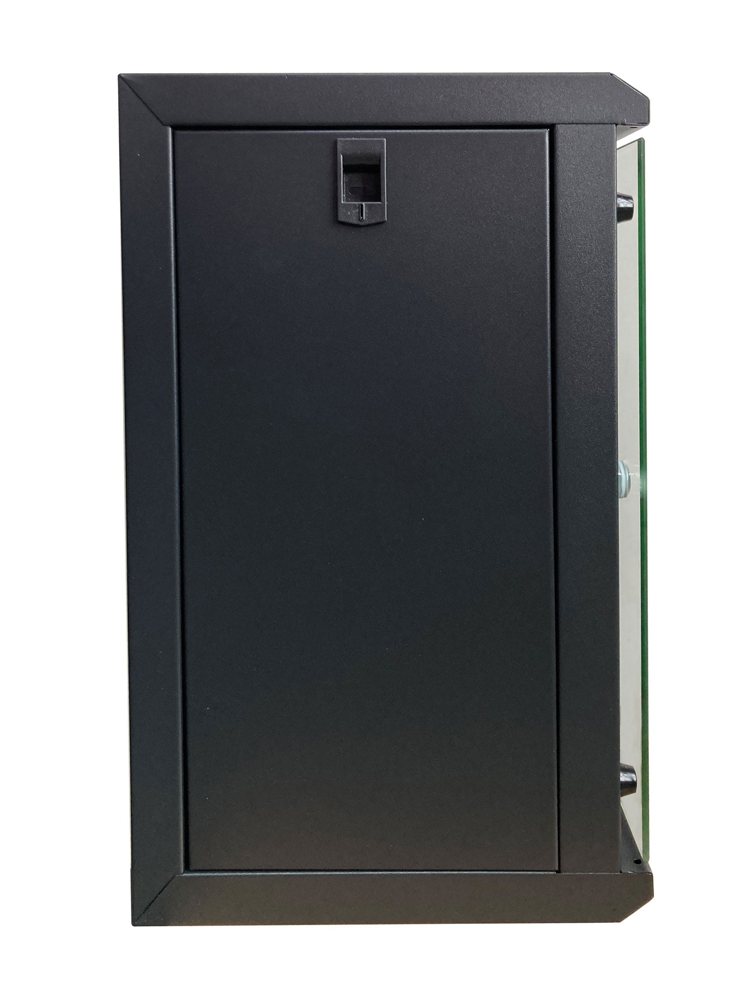 10" wall-mount rack 9U removable panels black - Techly Professional I-CASE EM-1009BKEC