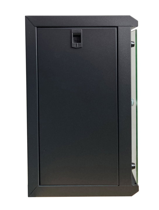 Wall Mount Rack Enclosure 10" 9 Unità Removable Panels Black - Techly Professional I-CASE EM-1009BKEC
