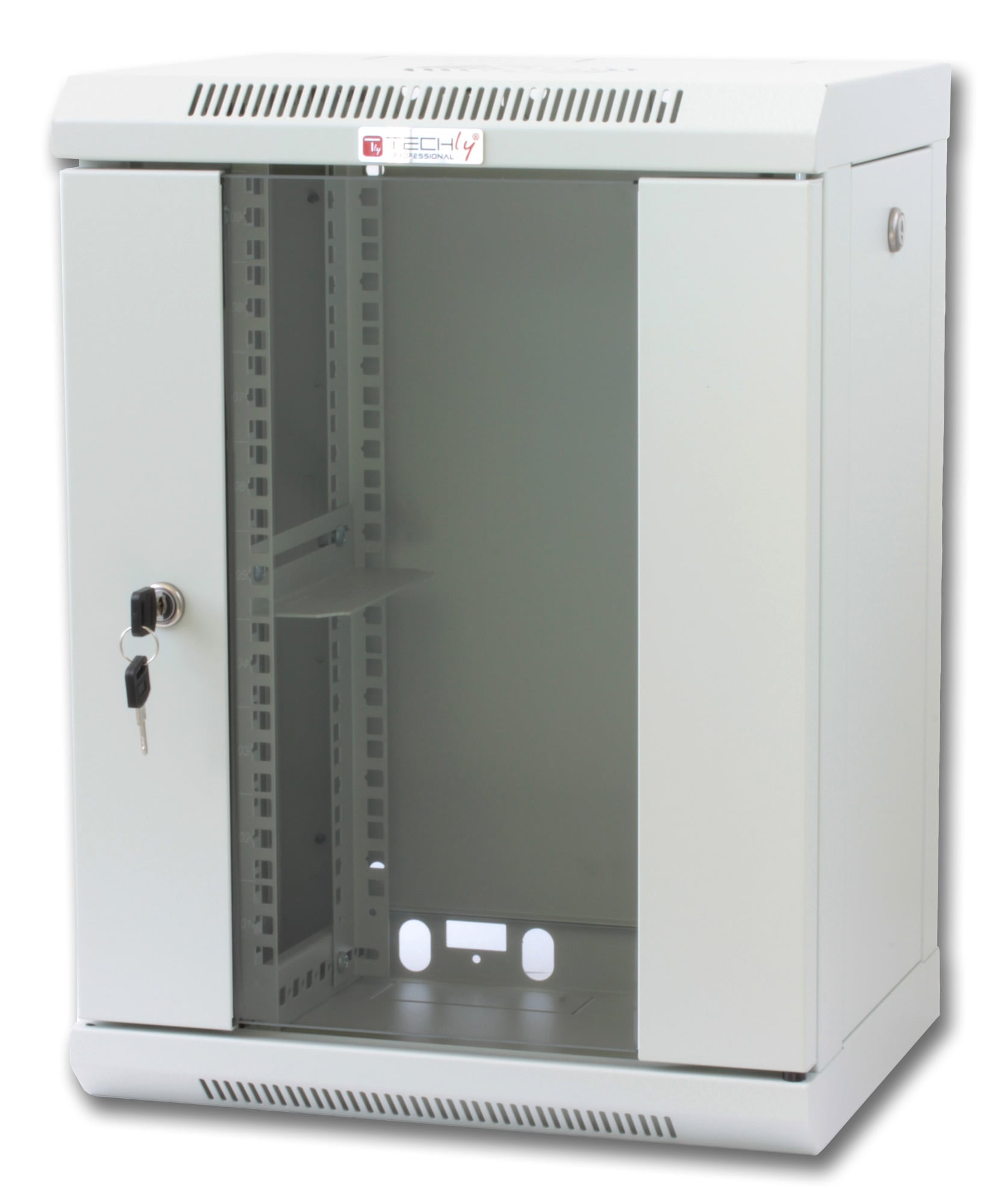 Wall-mounted 10" Rack Cabinet 9 units with removable panels Gray depth 300 mm - Techly Professional I-CASE EM-1009GPTY