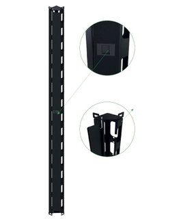 Coppia canala gestione cavi verticale 42U per rack 800mm nero - Techly Professional I-CASE EV-CABLE42
