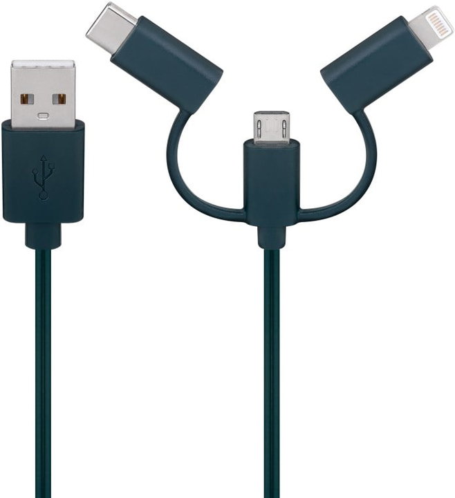 Cavo di ricarica USB per smartphone con 8 LED colorati - Goobay I-LED-CHAIN-USB