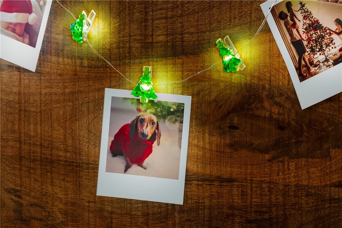 Stringa 10 LED con Clip Albero Natale per Appendere Foto IP20 con Timer - Goobay I-LED-CL-TREE