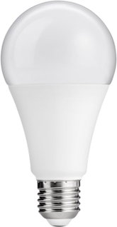 Lampada LED globo E27 bianco caldo 15W classe E - Goobay I-LED-E27-15WGE