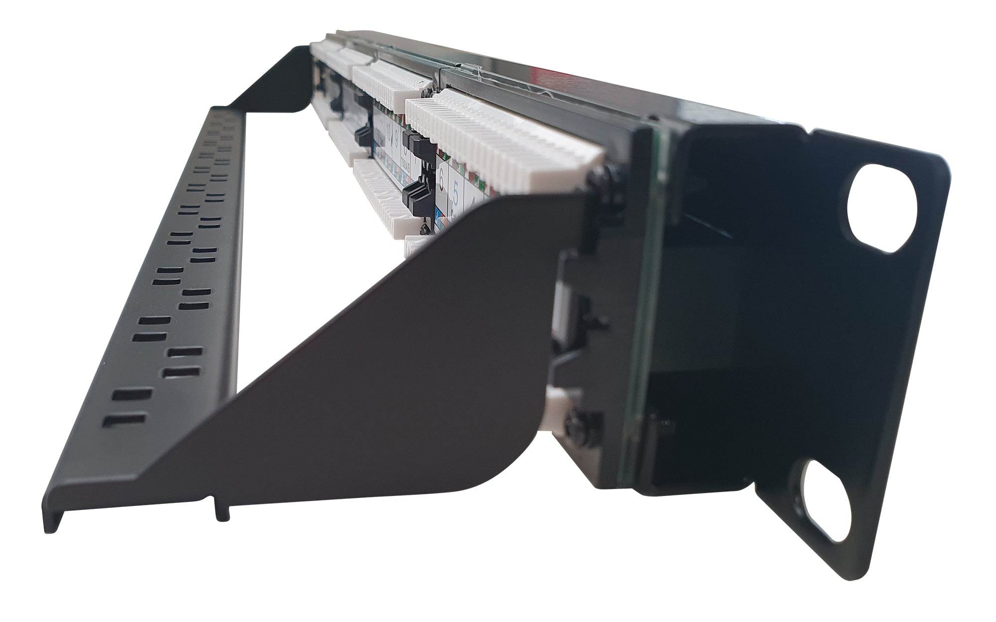 Pannello Patch UTP 24 Posti RJ45 Cat6 con barra gestione cavi - Techly Professional I-PP 24-RU-C6T-BAR