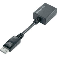 DisplayPort Adapters