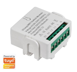 WiFi Module for Smart Switch 2 CH Alexa Google Home Tuya - Logilink IC-SH0124