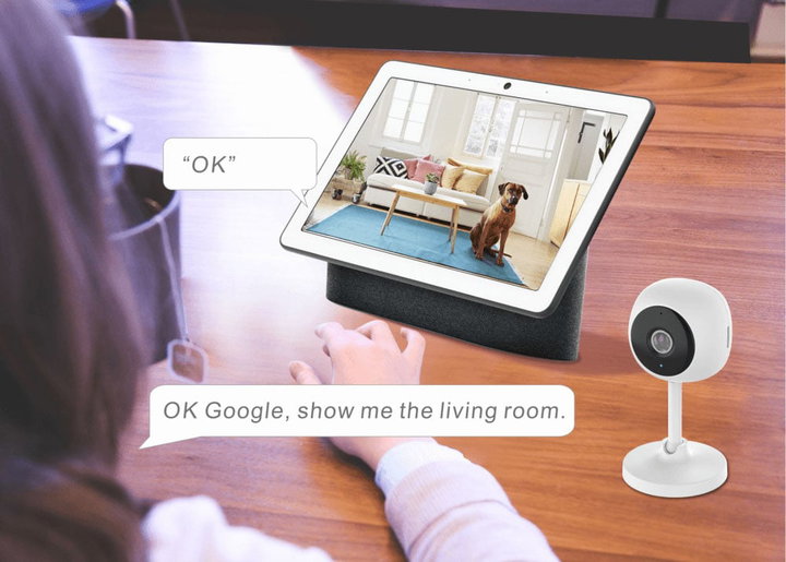Smart Camera WiFi Full HD 2 MP Controllo Vocale Alexa Google - Woox IC-WO4114