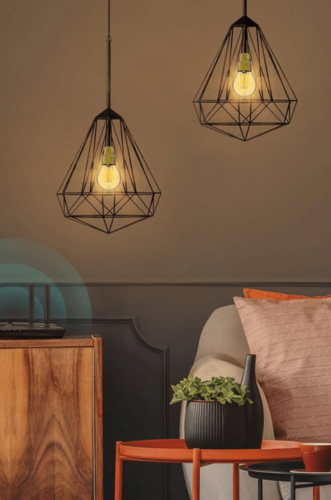 Lampadina LED E27 Filamento Smart Controllo Vocale Alexa - Woox IC-WO9078