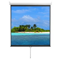 Projector Screens