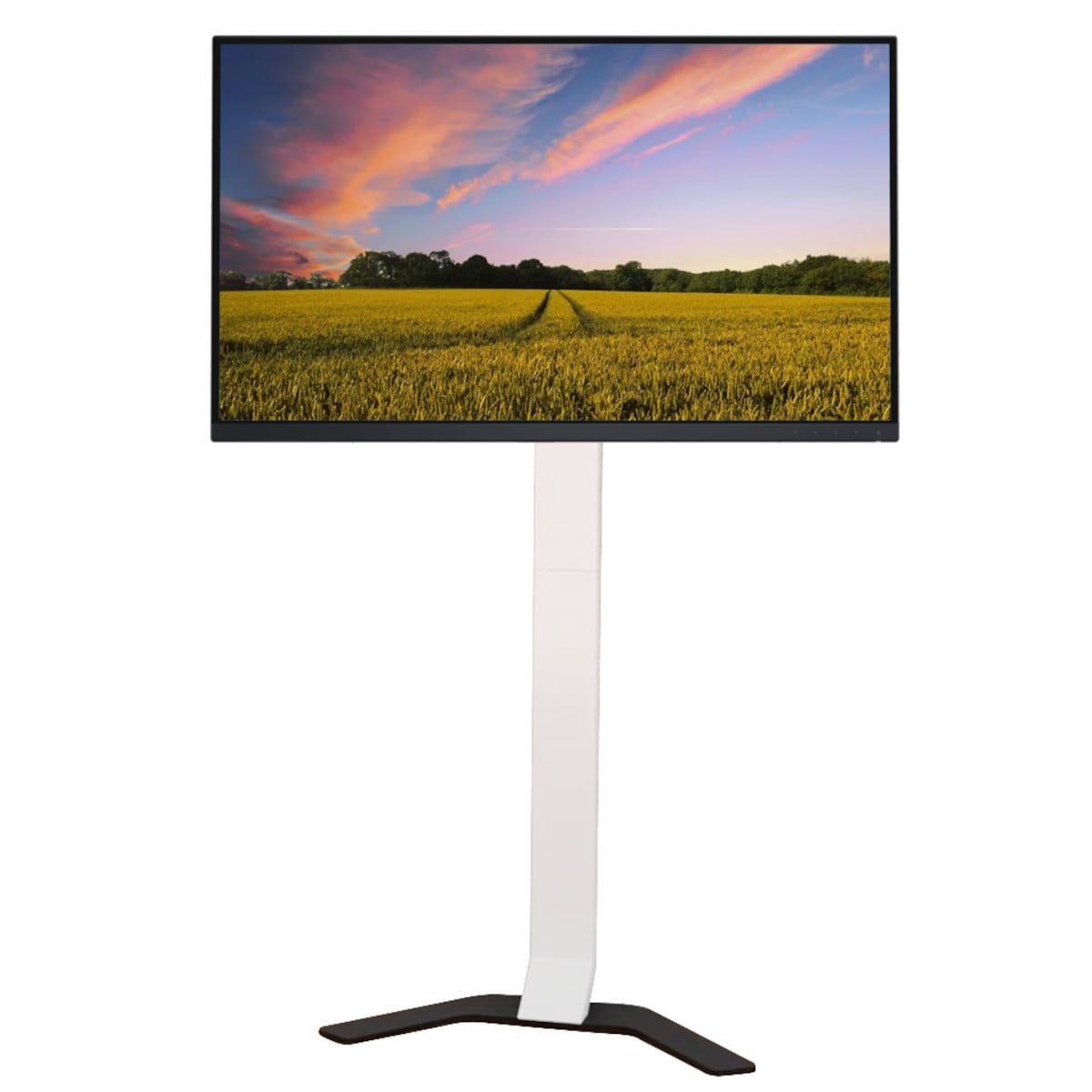 Supporto da Pavimento Super Slim per TV LCD/LED/Plasma da 32'' a 70'' - Techly ICA-TR47