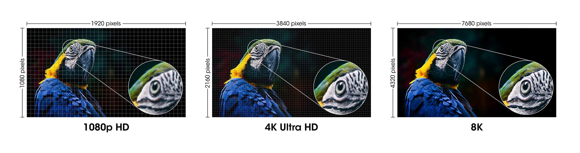 HDMI cable with Ethernet Ultra High Speed 8 K@ 60 Hz eARC 2 m - Manhattan ICOC HDMI 21 - 8 - 020 MH