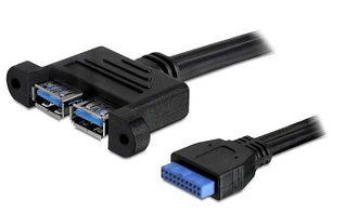 Cavo Interno USB 3.2 19 pin Femmina / 2x USB A Femmina da Pannello - Delock ICOC USBH-302U3F