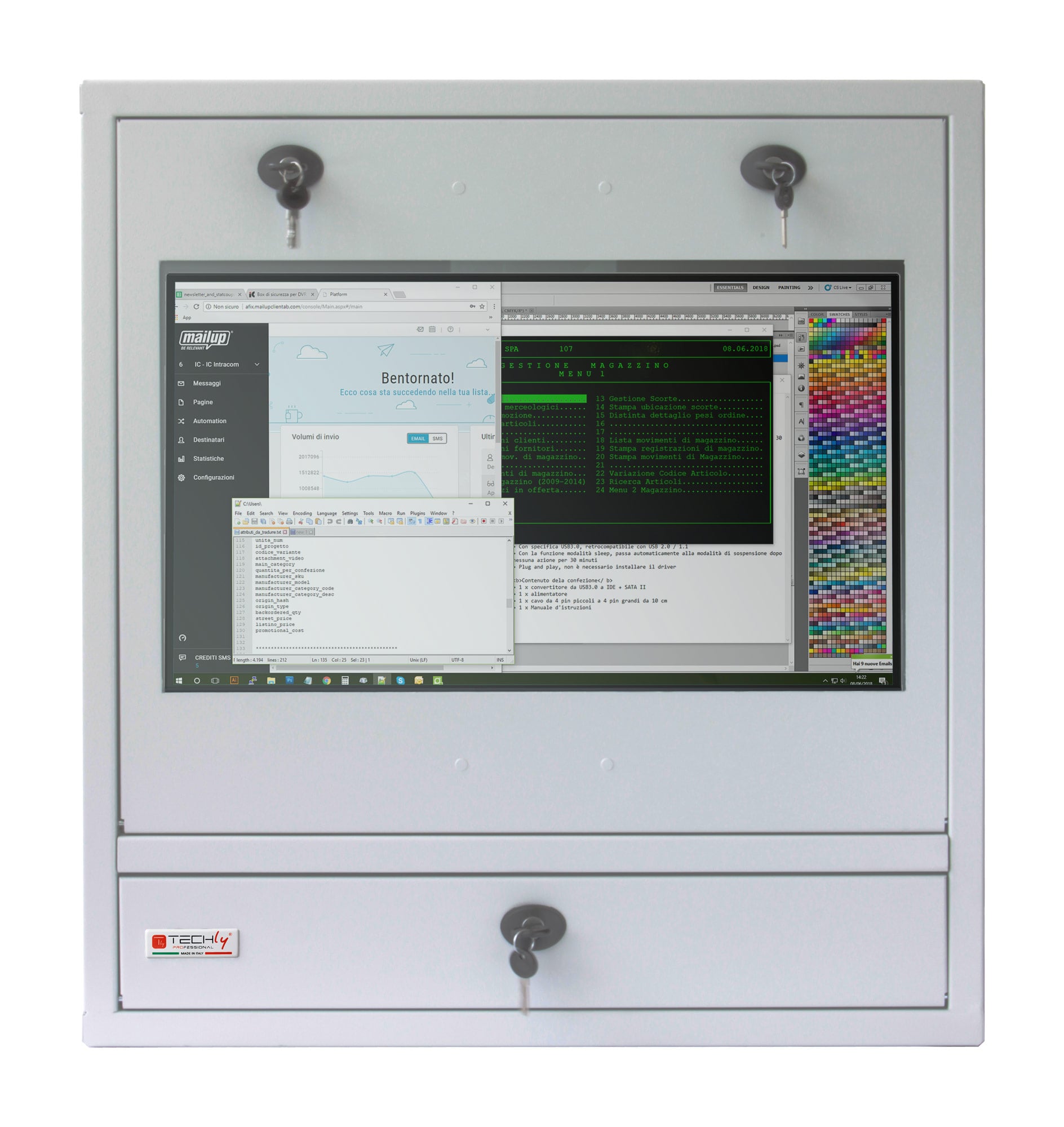 Armadio di sicurezza per PC, monitor LCD e tastiera Grigio - Techly Professional ICRLIM10