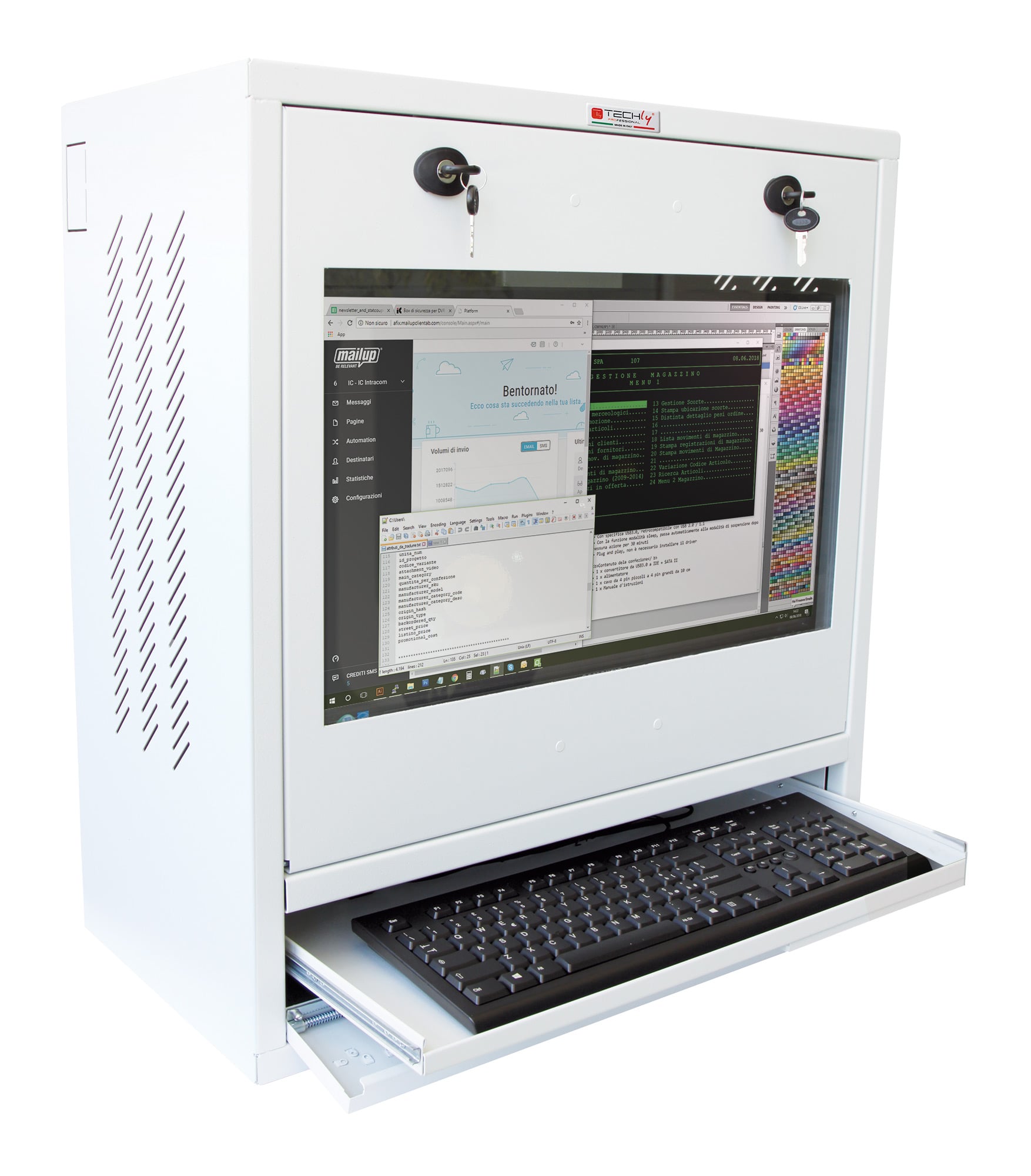 Security cabinet for PC, LCD monitor and keyboard White - Techly Professional ICRLIM 10 W