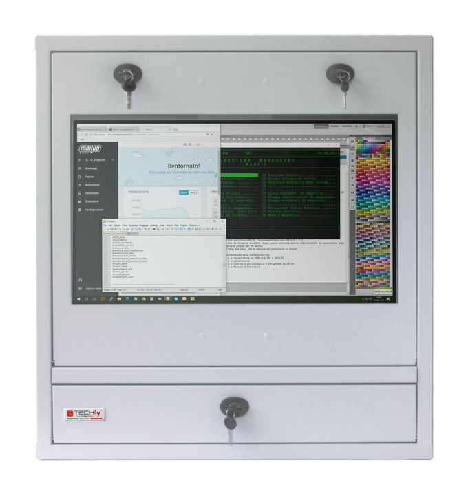 Armadio di sicurezza per PC, monitor LCD e tastiera Bianco - Techly Professional ICRLIM10W