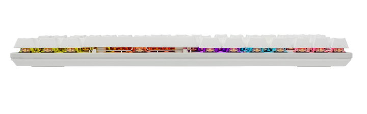 Tastiera Gaming Meccanica USB Retroilluminazione LED RGB 87 Tasti Bianco - White Shark ICSB-COMMANDOS-US-WH