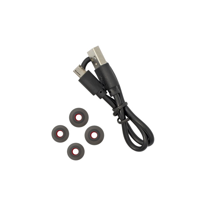 Bluetooth 5.1 In-ear headphones with Recharge Case - ICSB-EBTWS 32 Sbox