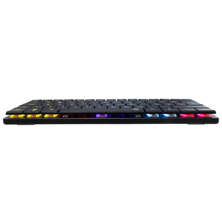 Tastiera Gaming USB-C 62 Tasti con Retroilluminazione LED RGB e 19 Effetti Luce - White Shark ICSB-GK006111