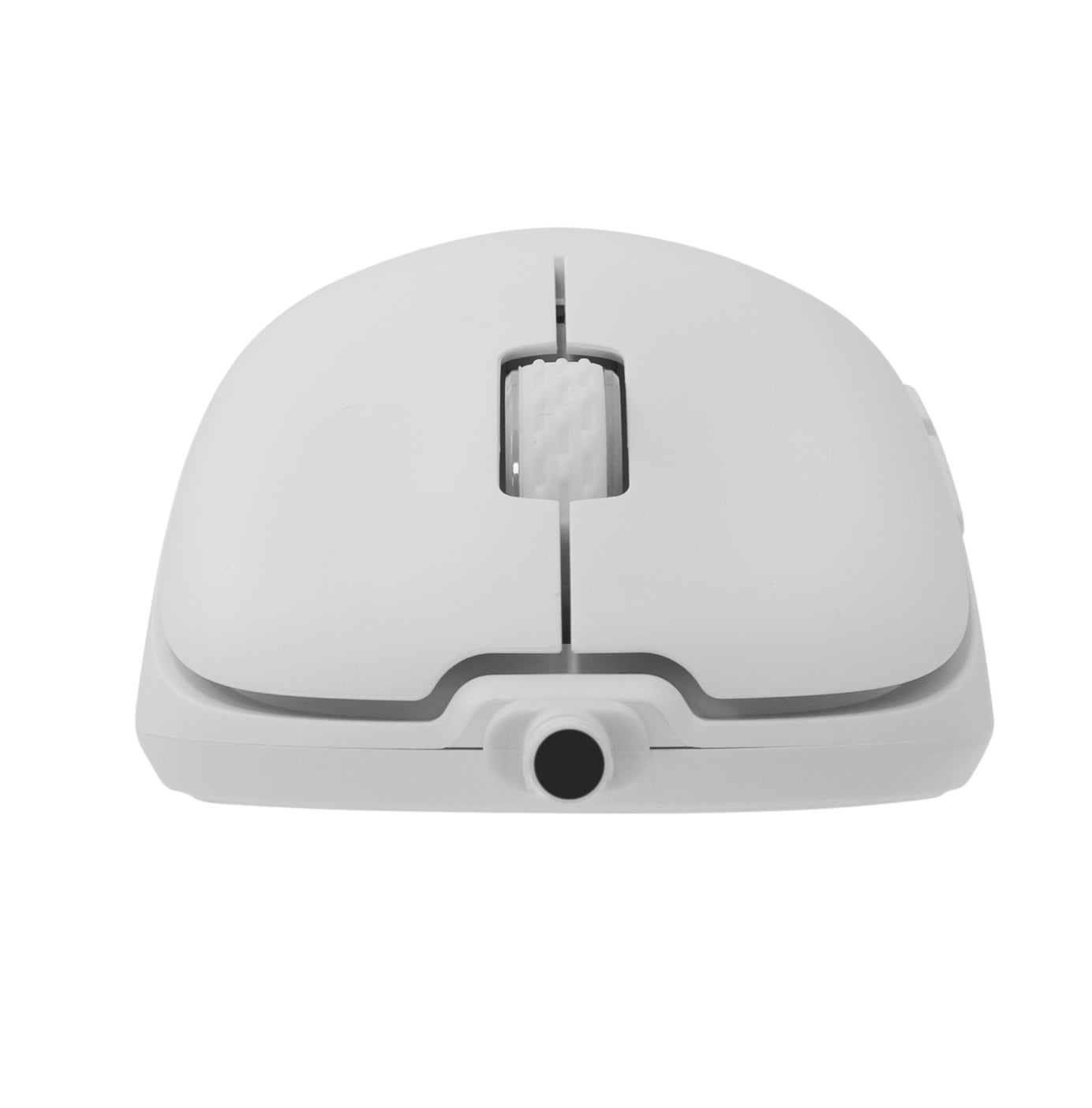 Mouse Ottico USB 12400 Dpi 6D Bianco, GRAPHENE - White Shark ICSB-GRAPHENEWH