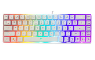 Gaming USB 68 Keyboard with RGB White LED Backlight - White Shark ICSB-RONINW-US