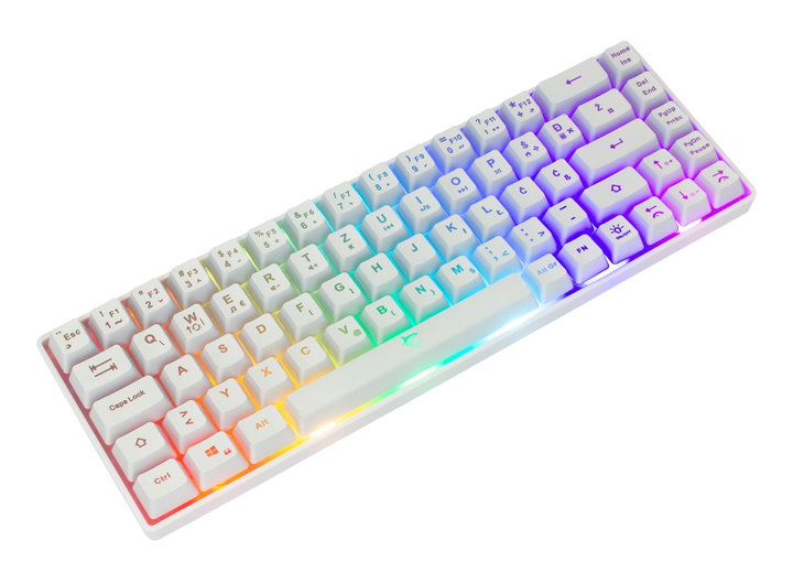 Tastiera Gaming USB 68 Tasti con Retroilluminazione LED RGB Bianco - White Shark ICSB-RONINW-US