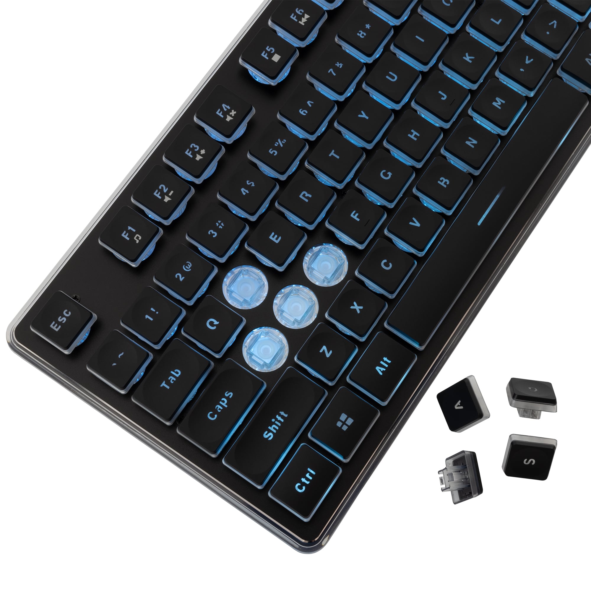 Gaming USB 104 Keyboard with Blue LED Backlight - White Shark ICSB-TACHIBK