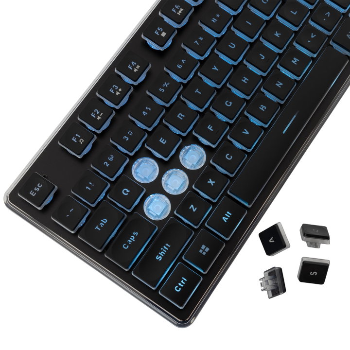 Tastiera Gaming USB 104 Tasti con Retroilluminazione LED Blu - White Shark ICSB-TACHIBK