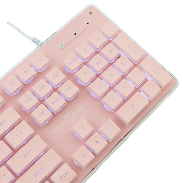 Tastiera Gaming USB 104 Tasti con Retroilluminazione LED Bianca - White Shark ICSB-TACHIPK