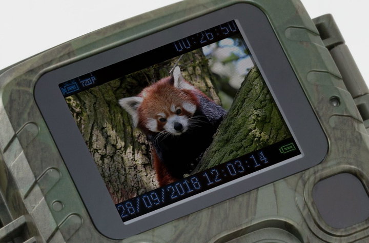 Phototrap Wild 1080 p 12 MP IP 56 PIR IR 18 m - Technaxx ICTX-TX 117
