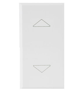 2 Switch Buttons 1 P 10 AX 250 V 1 Opaque White Module - AVE ICV- 446051 BS