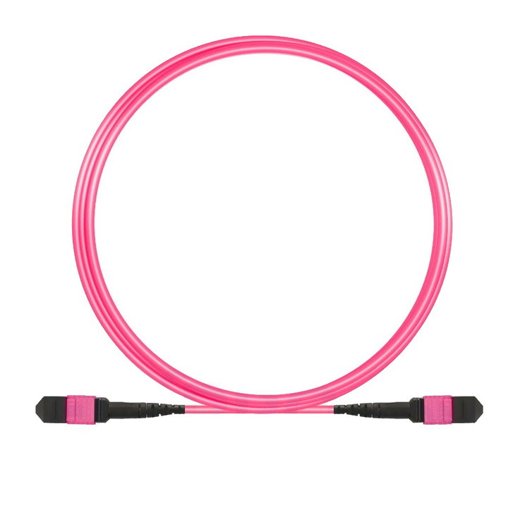 Cavo Patch 12 Fibre MTP-F/MTP-F OM4 Code B 1m - ILWL MTP12-OM4-B01