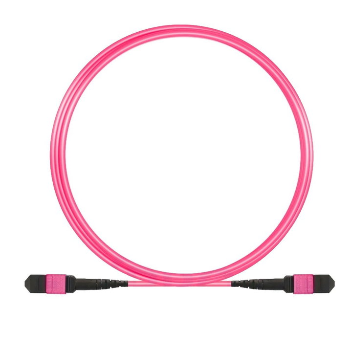 Cavo Patch 12 Fibre MTP-F/MTP-F OM4 Code B 5m - ILWL MTP12-OM4-B05