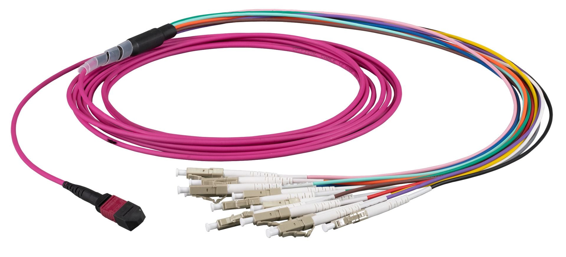 Patch cable 12 Fibre Multiconnecting MTP-F/LC OM 4 2 m - OEM ILWL MTP 12 LC-OM 4 - 02