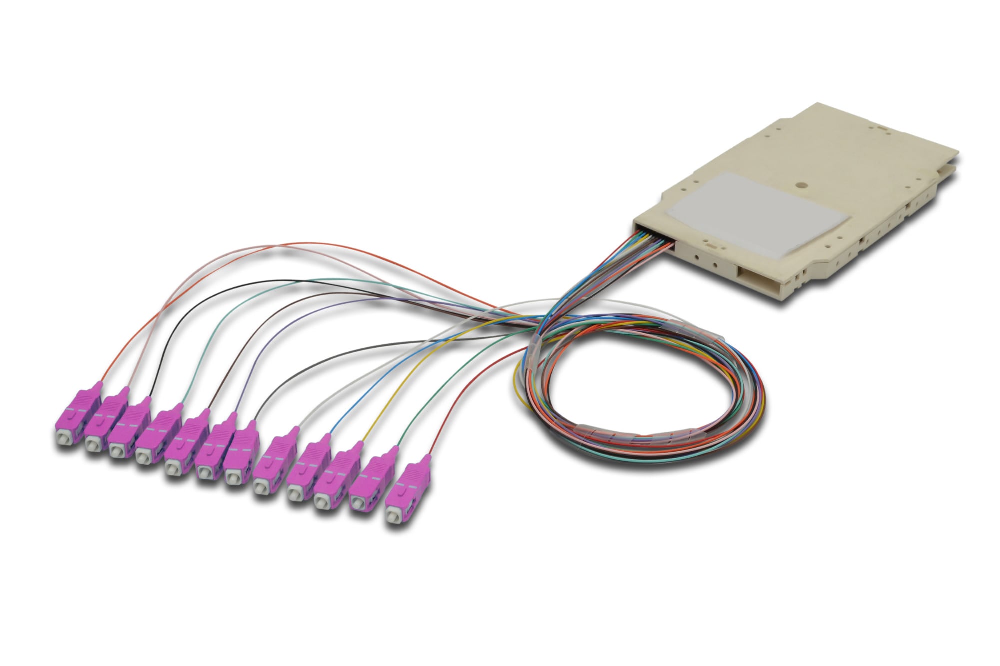 Cassetta di Giunzione Attrezzata con 12 Pigtail Fibra Multimodale OM4 SC 50/125 2m - ILWL PG-SC-OM4-SPC