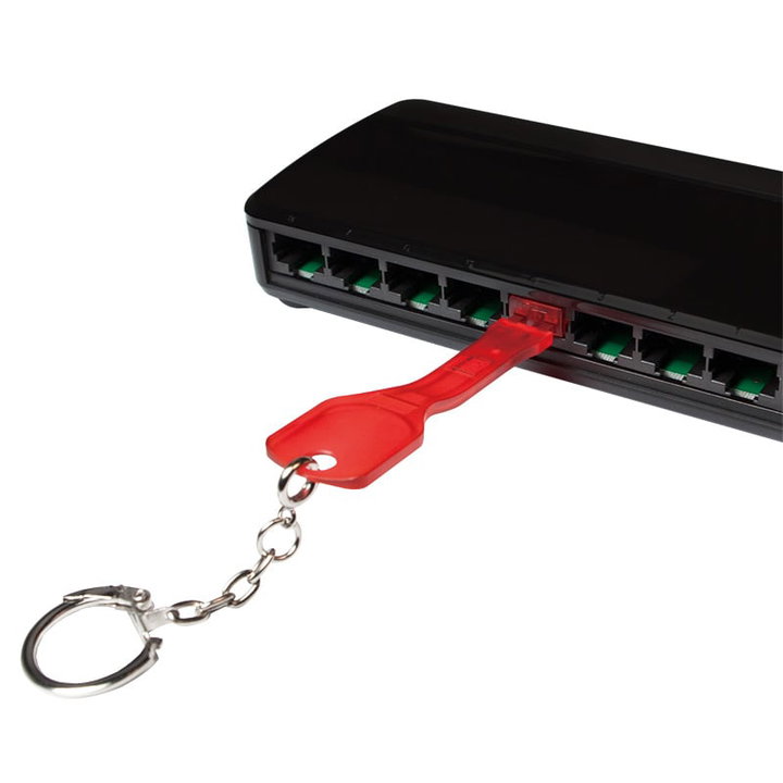 Lock RJ 45 red doors 10 locks and 1 key - Logilink IPW-KEYRJ- 10 LK