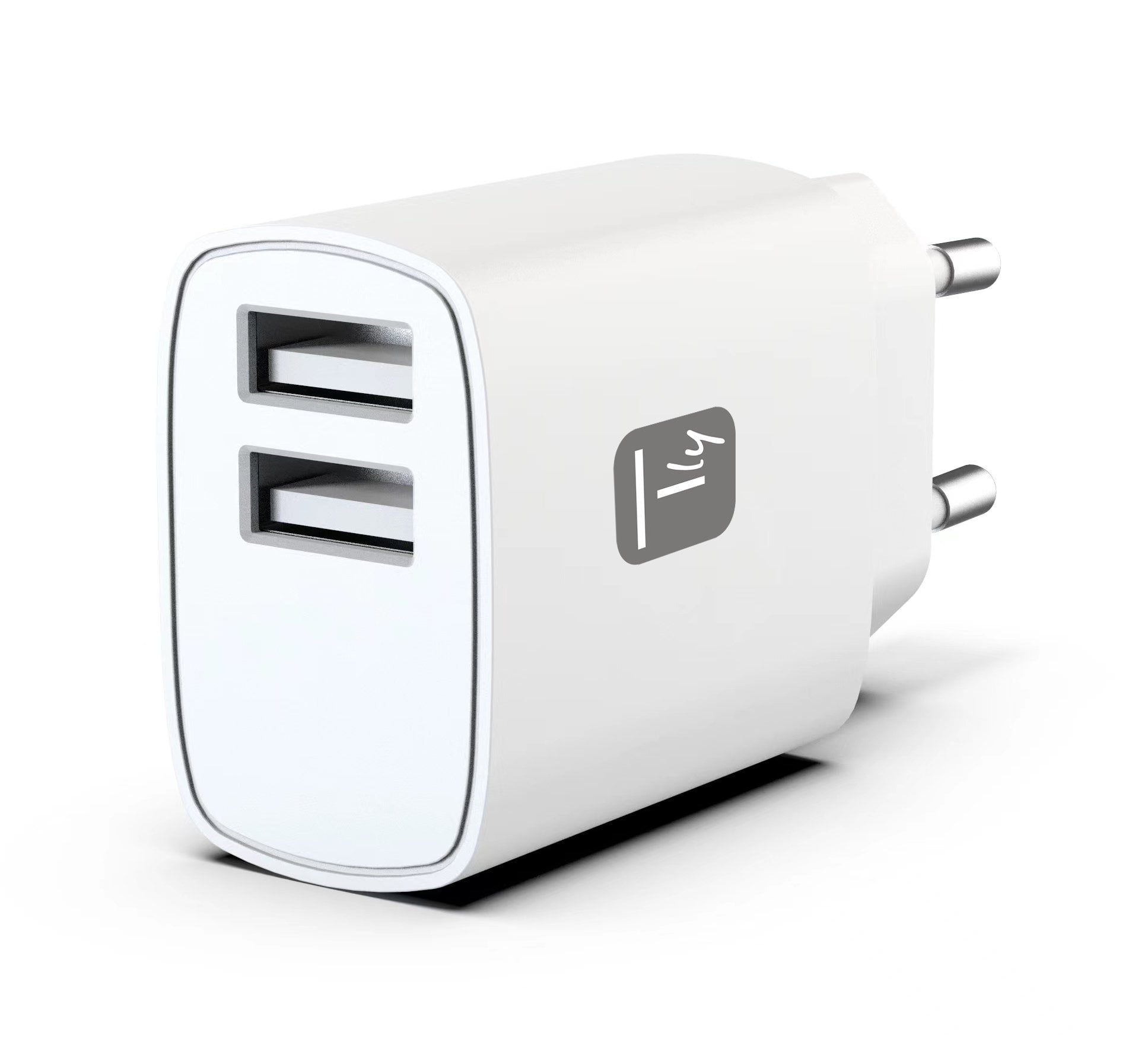 Caricatore Alimentatore 2x USB-A 12W da Muro - Techly IPW-USB-12W2A2