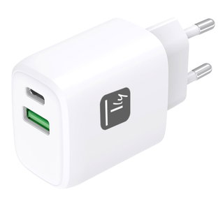 Caricatore Alimentatore GaN USB-C 20W e USB-A 18W da Muro - Techly IPW-USB-20WACG