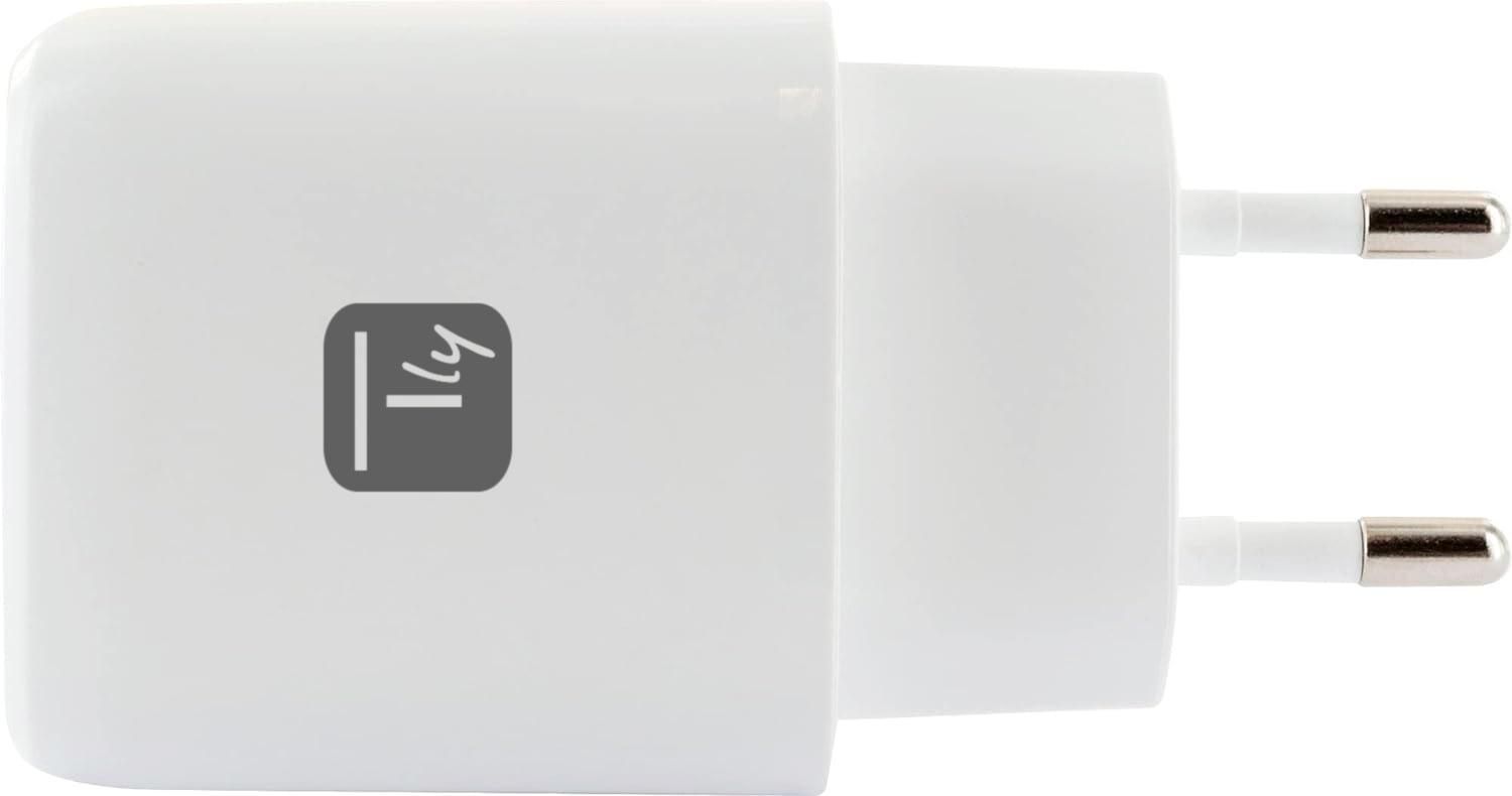 Caricatore Alimentatore GaN USB-C™ 20W e USB-A 18W da Muro - Techly IPW-USB-20WACG