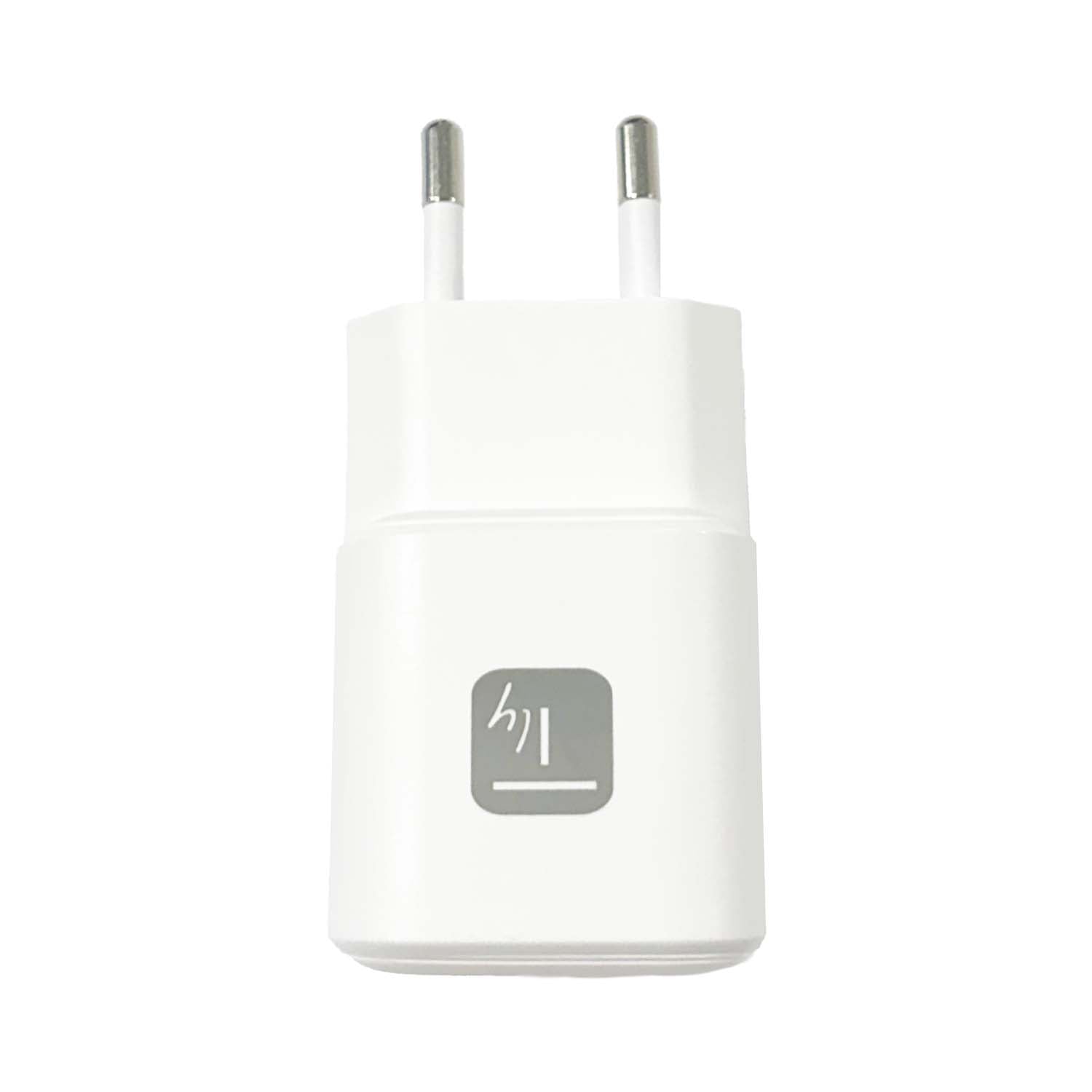 Caricatore Alimentatore GaN USB-C™ da Muro 65W - Techly IPW-USB-G65C1
