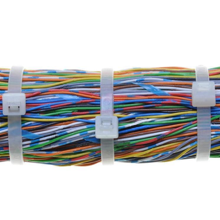 Fascette Fermacavi Autobloccanti 200x4,8mm in Nylon 100pz Bianco - Techly ISWT-20048