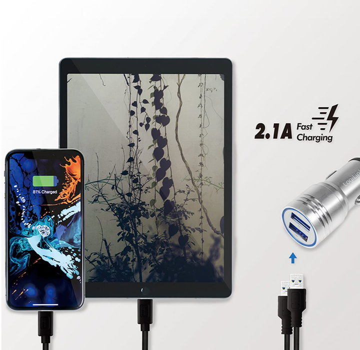 Caricatore da Auto in Alluminio 2x USB 10,5W Rompivetro di Emergenza - Logilink IUSB2-CAR-212AL