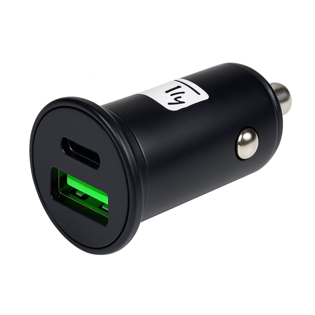Mini Charger from USB-A and USB-C 5 V/ 4 A Black - Techly IUSB 2 -CAR 5 -AC 45 W