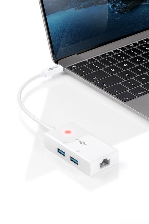 Hub USB-C SuperSpeed 2 USB ports 3.2 and RJ- 45 Gigabit - Goobay IUSB 31 C-HUB 2 C