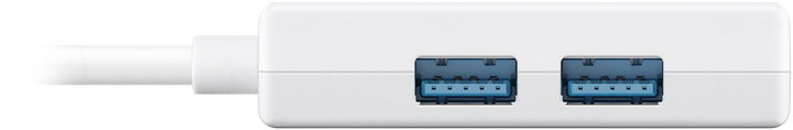 Hub USB-C SuperSpeed 2 USB ports 3.2 and RJ- 45 Gigabit - Goobay IUSB 31 C-HUB 2 C