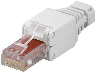 Plug RJ45 Cat6 Toolless con Copriconnettore Bianco - Intellinet IWP-8P8C-TLU6