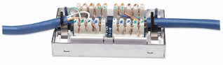 Box Junction Cat 6 FTP Screenshot - Intellinet IWP-ADAP CB 6