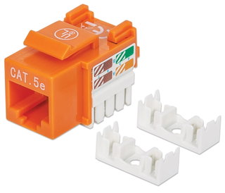 Fruit Keystone RJ 45 Cat 5 AND UTP IDC 90 ° Orange - Intellinet IWP-MD C 5 E/OR